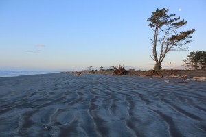 Paparoa NP - Gletscher-005